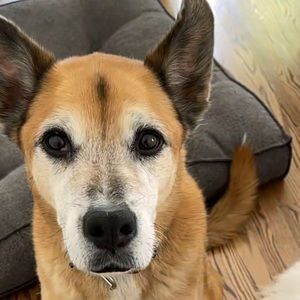 Meet your Posher, Marco